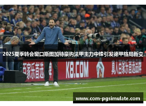2025夏季转会窗口斯图加特豪购法甲主力中锋引发德甲格局新变 2025夏季转会窗口斯图加特豪购法甲主力中锋引发德甲格局新变